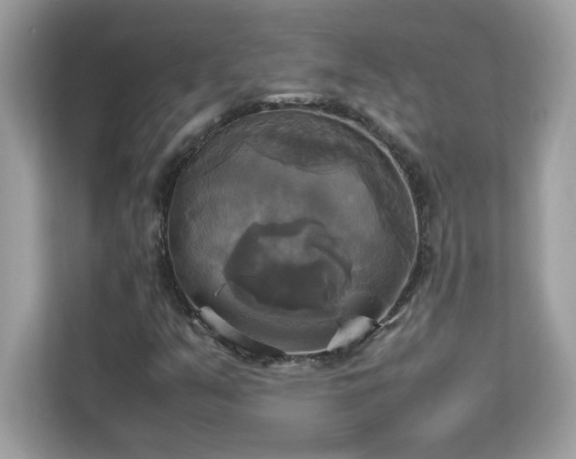 X0000113111351200908281400