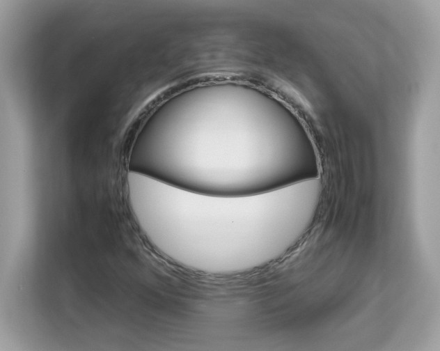 X0000113111352200908281400