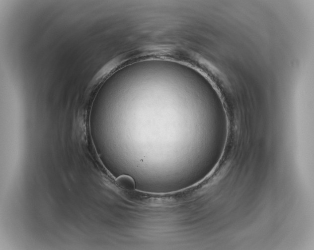 X0000113111354200908281400