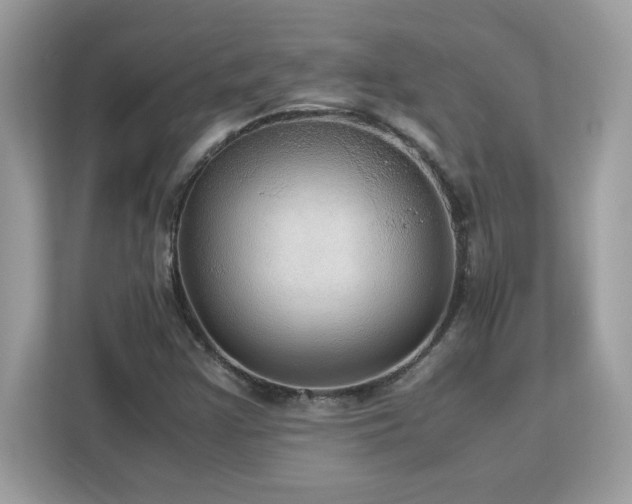 X0000113111355200908281400