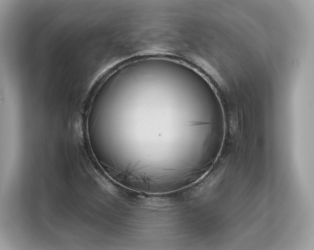 X0000113111356200908281400