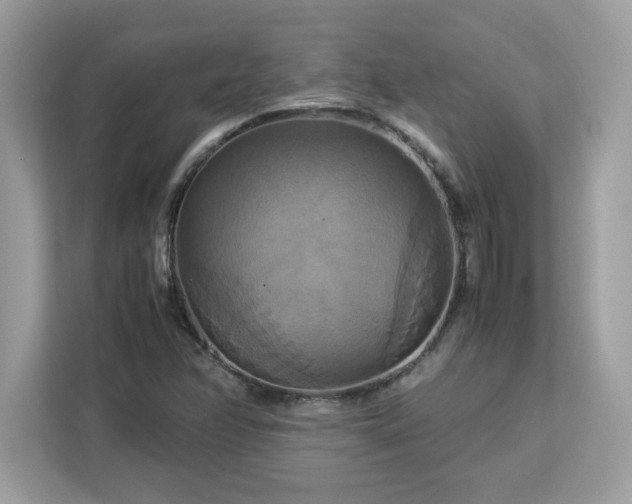 X0000113111358200908281359