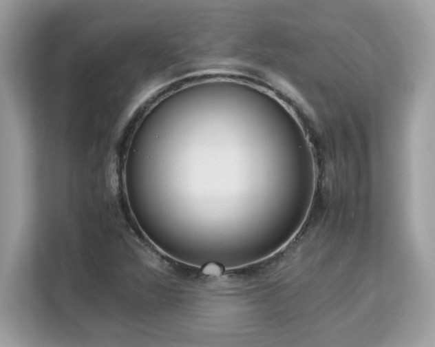 X0000113111360200908281359