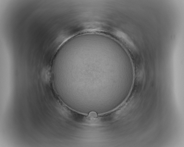 X0000113111361200908281359