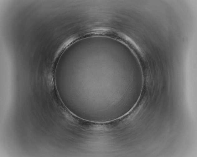 X0000113111362200908281359