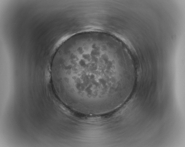 X0000113111363200908281359