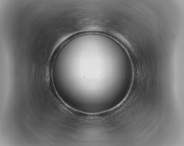 X0000113111364200908281359
