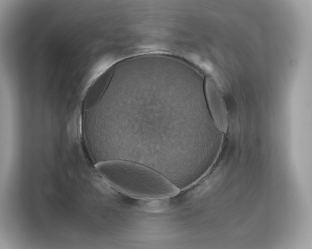 X0000113111365200908281359