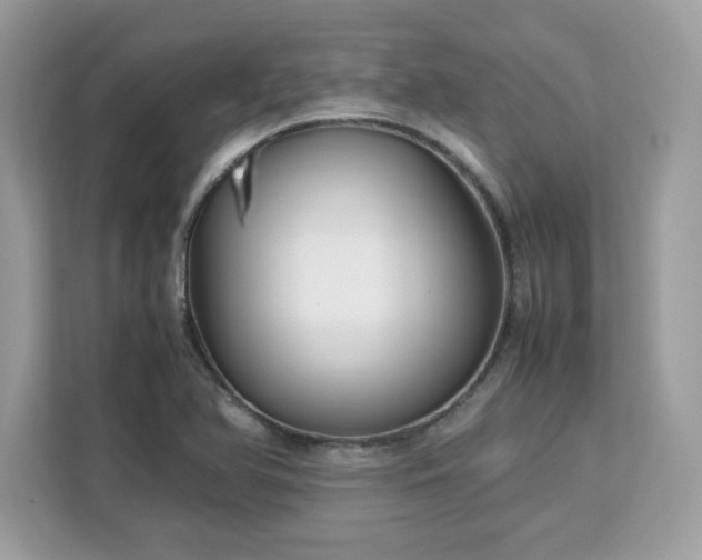 X0000113111366200908281359