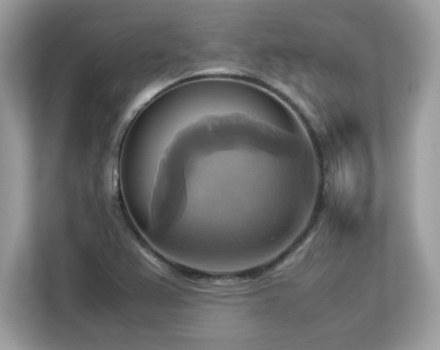 X0000113111367200908281359