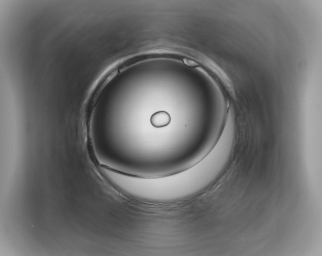 X0000113111368200908281359