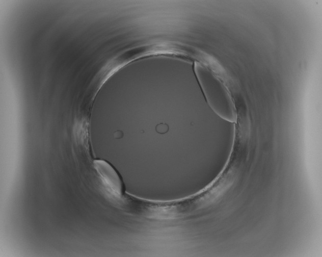 X0000113111369200908281359