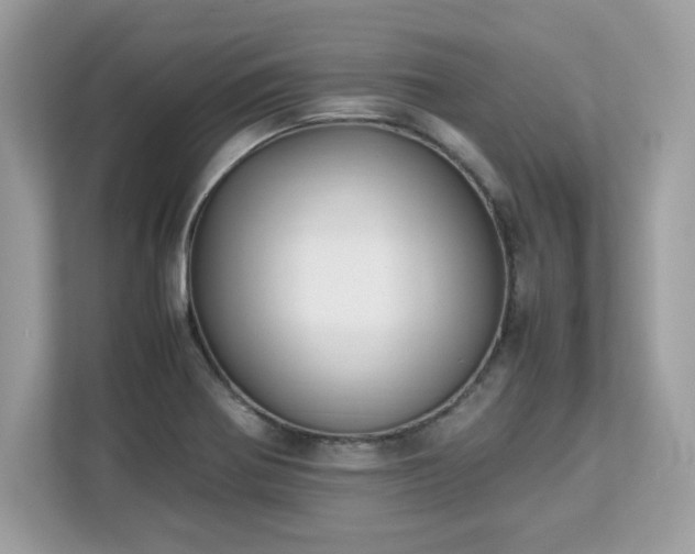 X0000113111370200908281359