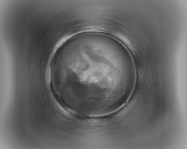 X0000113111371200908281359