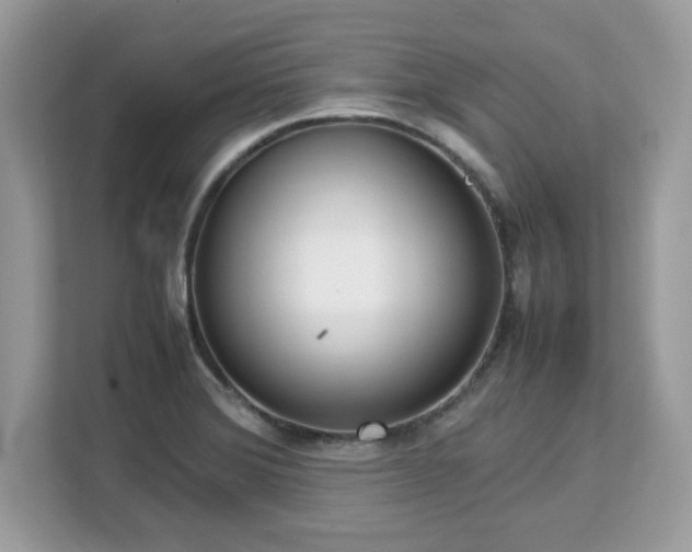 X0000113111372200908281359