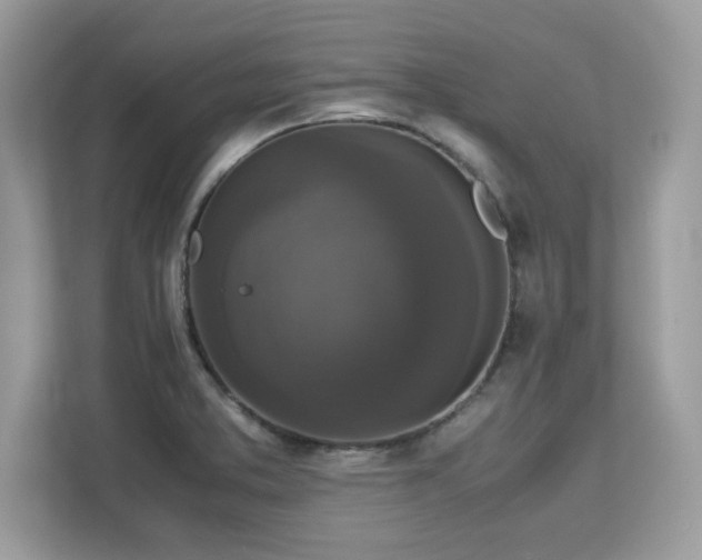 X0000113111373200908281359