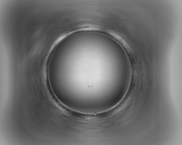 X0000113111375200908281359