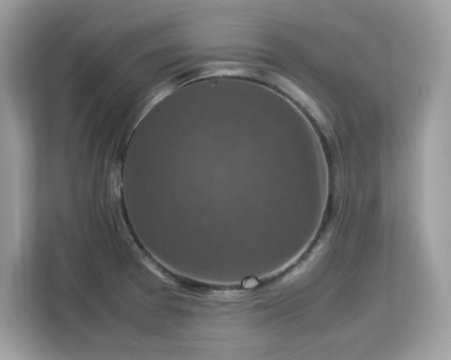 X0000113111377200908281359