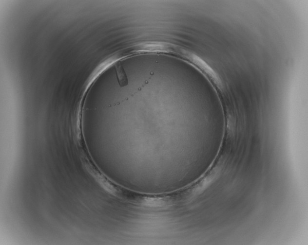 X0000113111378200908281359