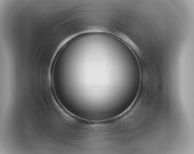 X0000113111380200908281359