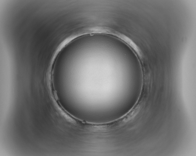 X0000113111381200908281359