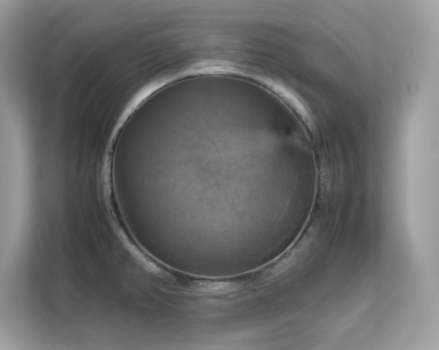 X0000113111382200908281359