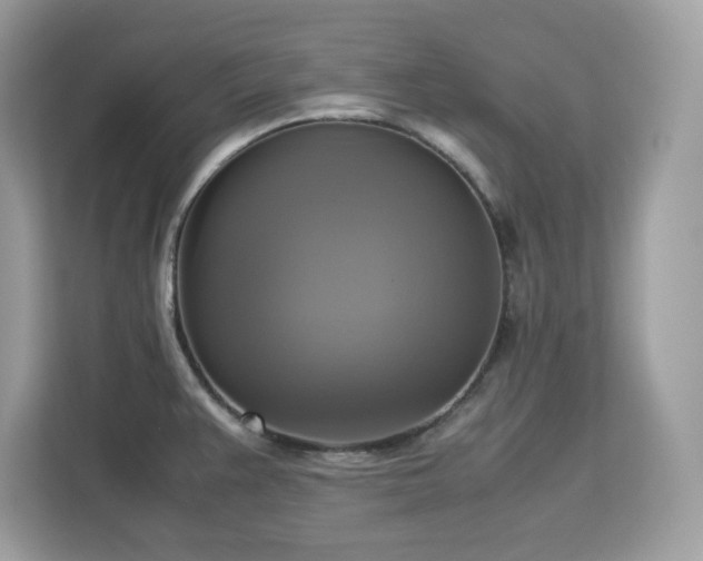 X0000113111383200908281359
