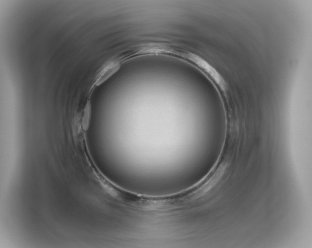 X0000113111385200908281359