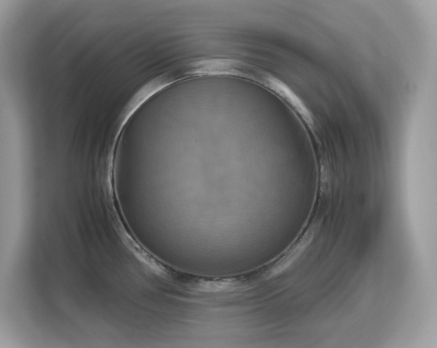 X0000113111386200908281359