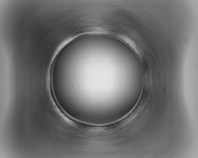 X0000113111387200908281359