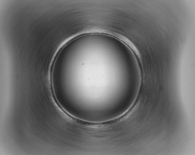 X0000113111388200908281359