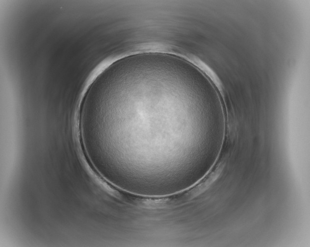 X0000113111389200908281359