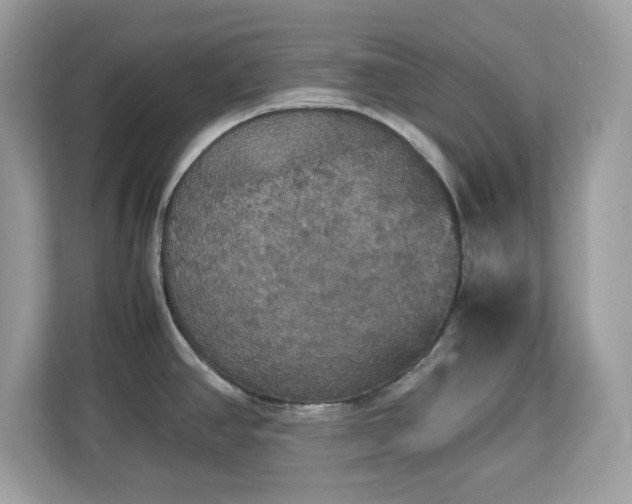 X0000113111390200908281359