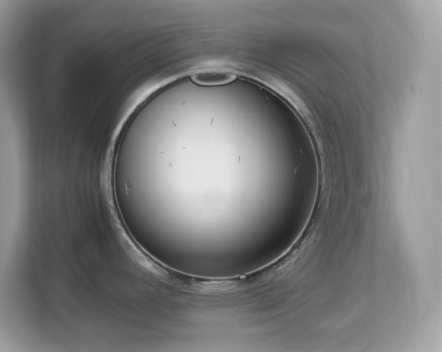 X0000113111392200908281359
