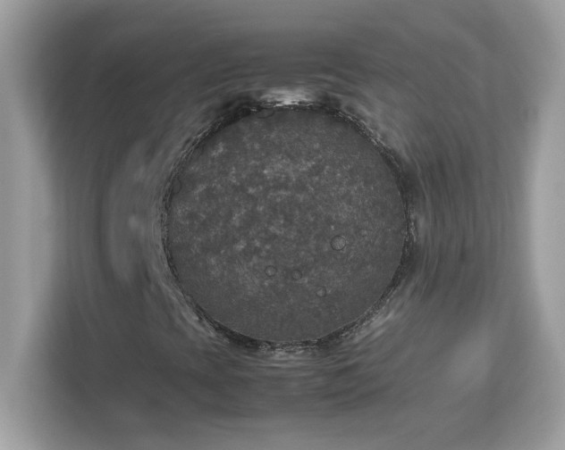 X0000113111393200908281358