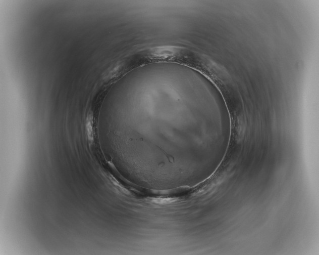 X0000113111394200908281358
