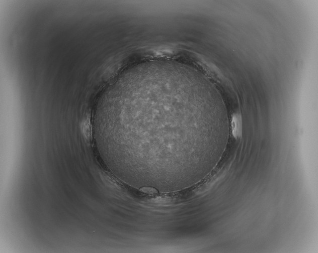 X0000113111395200908281358