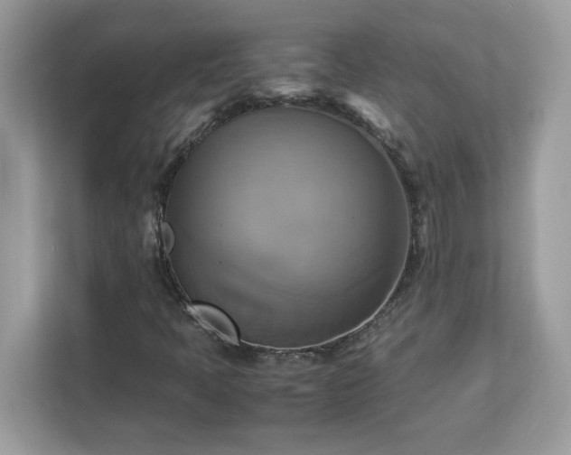 X0000113111397200908281358