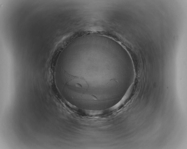X0000113111398200908281358