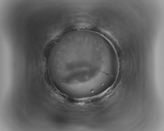 X0000113111399200908281358