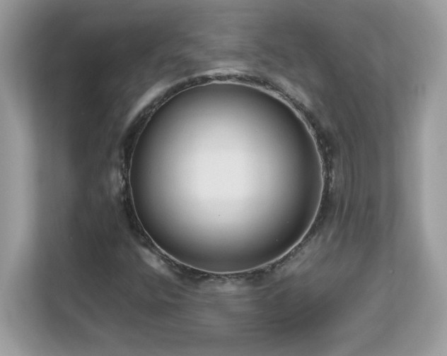 X0000113111400200908281359