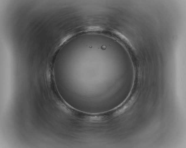X0000113111401200908281359