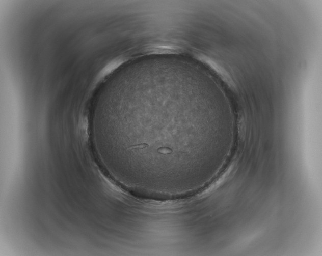 X0000113111402200908281359