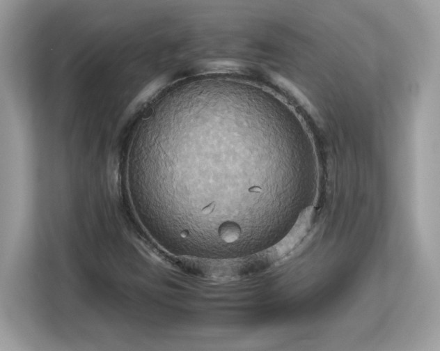 X0000113111403200908281359