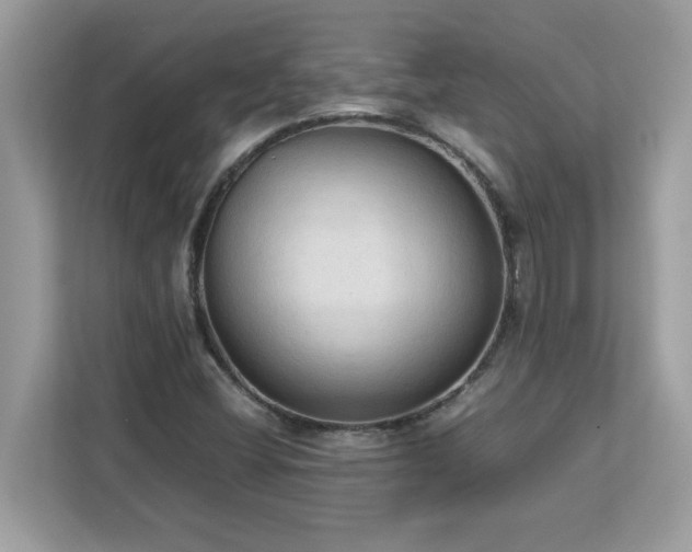 X0000113111404200908281359