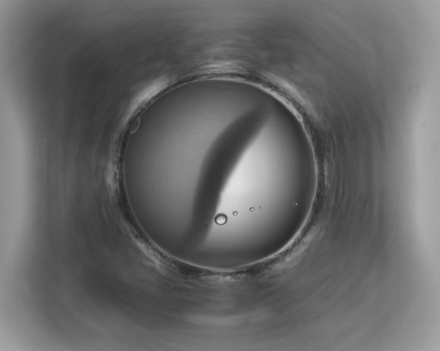 X0000113111405200908281359