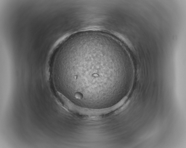 X0000113111406200908281359