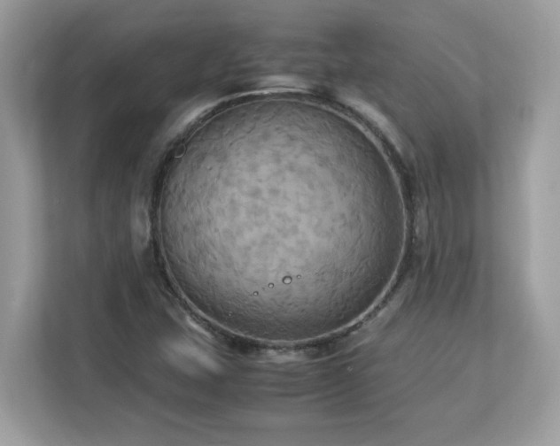 X0000113111407200908281359