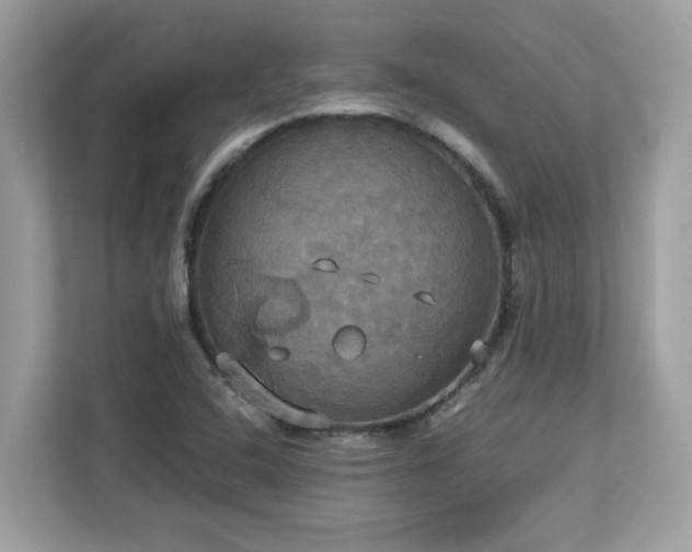 X0000113111408200908281359