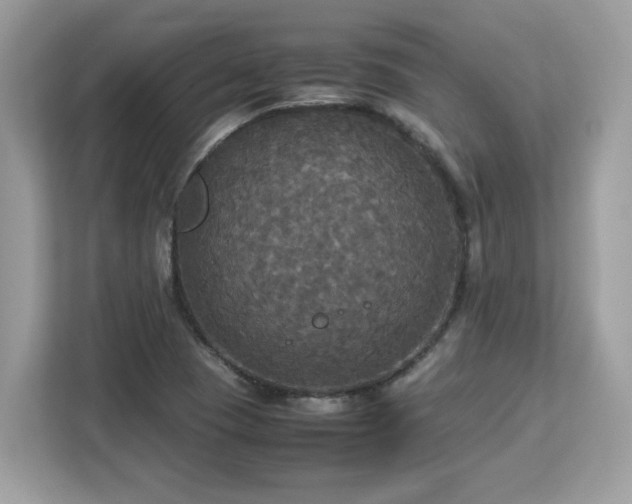 X0000113111409200908281359